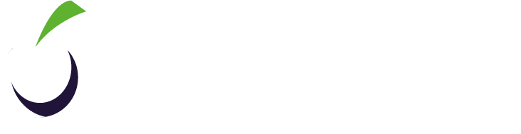PBXBerry Logo